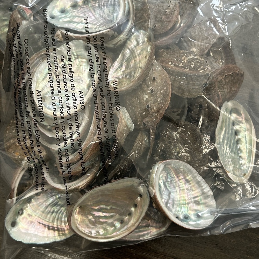 Natural Abalone Shells Collection - Picture 5 of 6